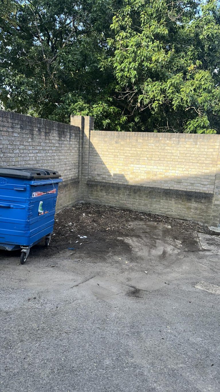 Commercial bin area cleared of waste