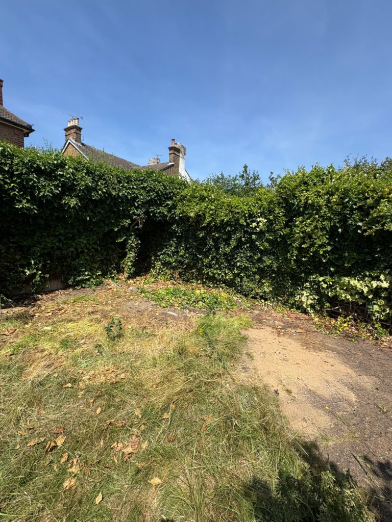 Garden cleared after rubbish removal